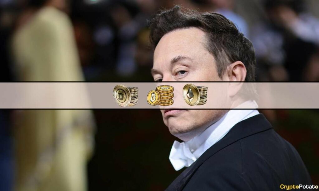 Elon Musk's Favorite Crypto Will be on X, Even if There Will be no X Coin