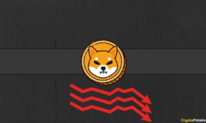 Almost 90% of Shiba Inu (SHIB) Holders Currently Underwater, But There's More