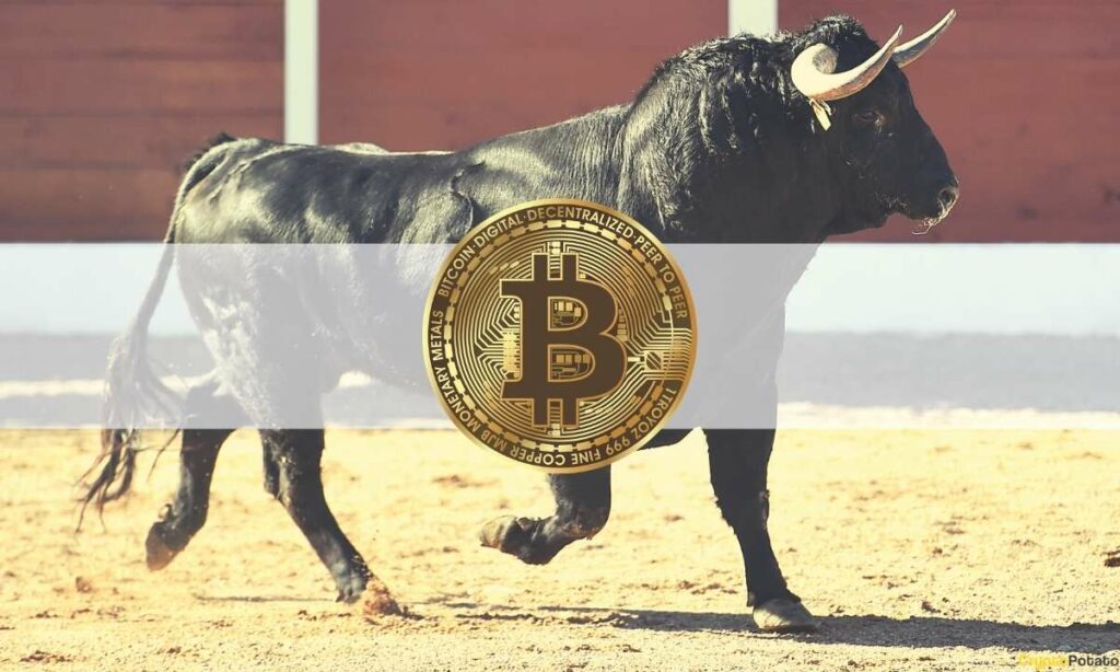 Bitcoin Hodler Growth Comparable to 2017 Cycle, Will BTC 10x in Next Bull Run? 