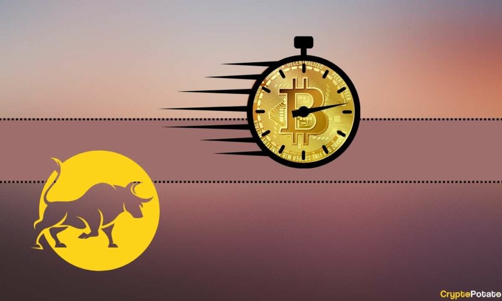 Is It Time to Buy BTC Before the Next Bitcoin Bull Run?
