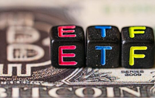 'Bitcoin's Time Has Arrived': ETF Hopefuls Eagerly Await SEC Decision