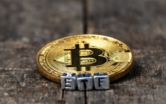 Bitcoin ETF Issuers May Dwindle by End of Year, Says Valkyrie CIO