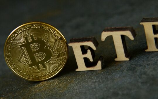 Who Is Buying Up Bitcoin ETFs? Analysts Debate