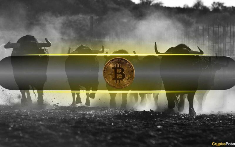 Bitcoin Market Dynamics Remain Bullish Post-Halving: Bitfinex